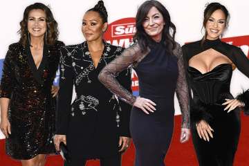 Celebridades em vigor para Who Cares Wins do The Sun como anfitrião Davina McCall atordoa