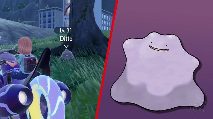 Pokémon Glow Ups 16
