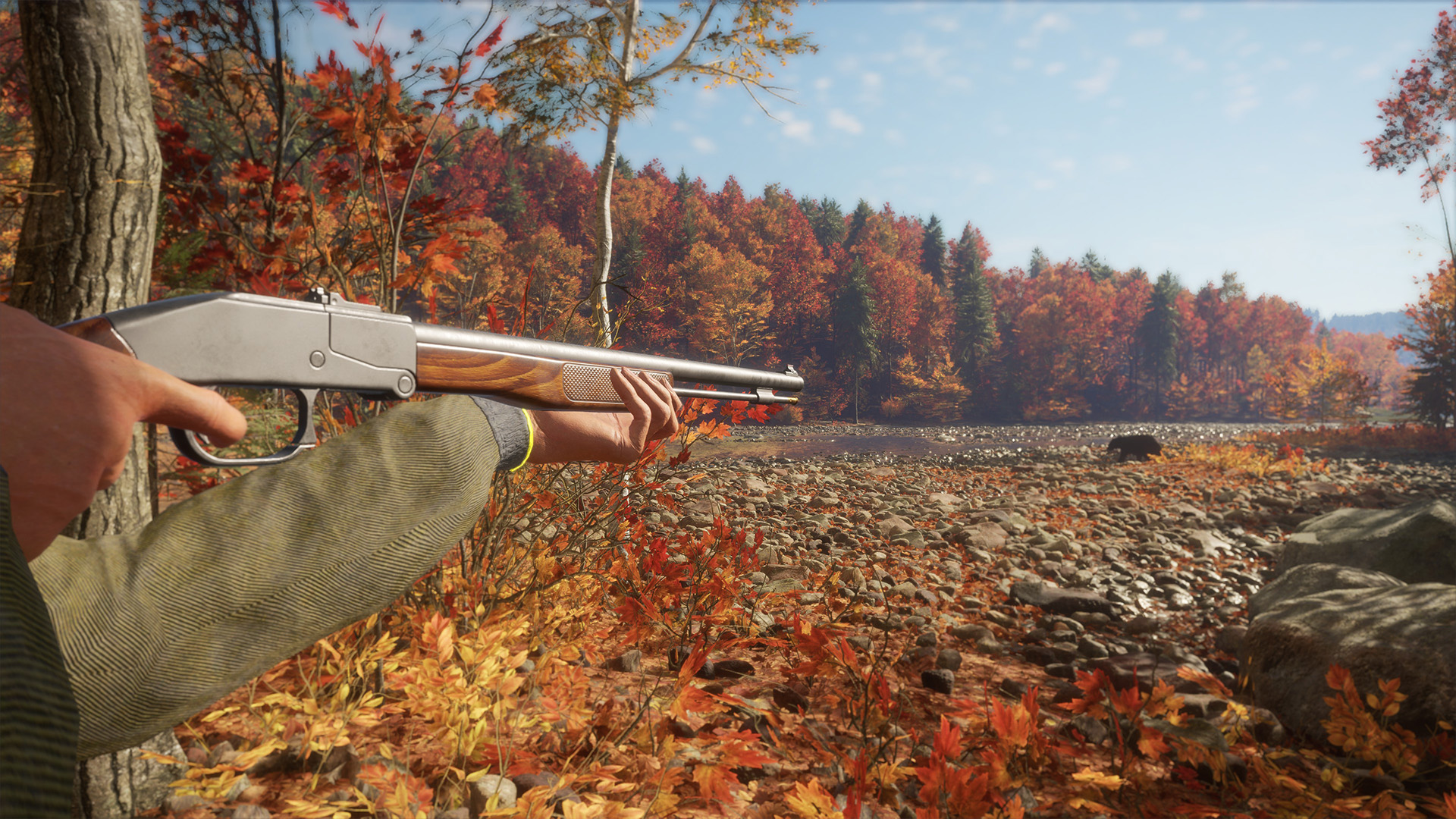 rifle de mira