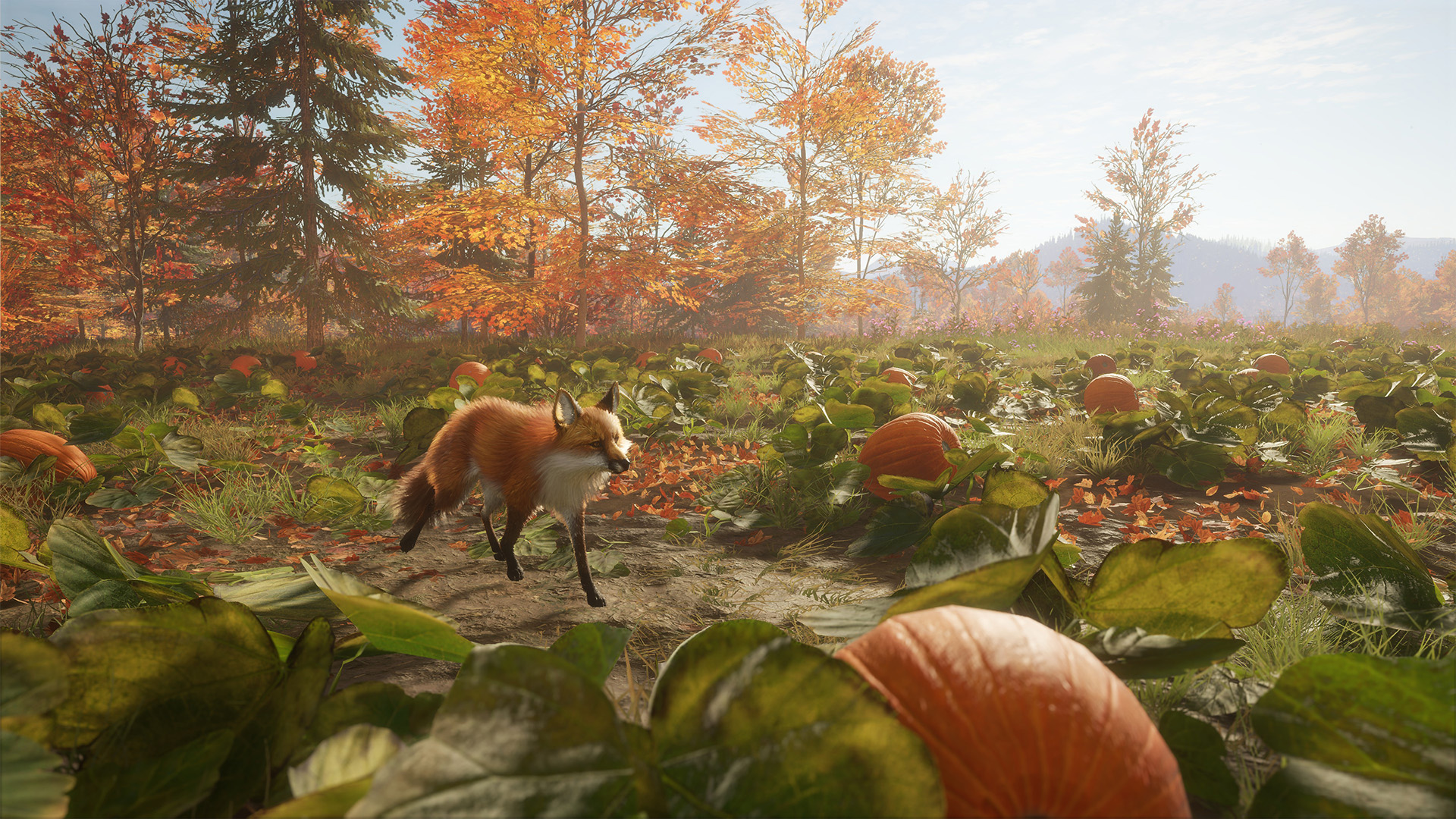 captura de tela