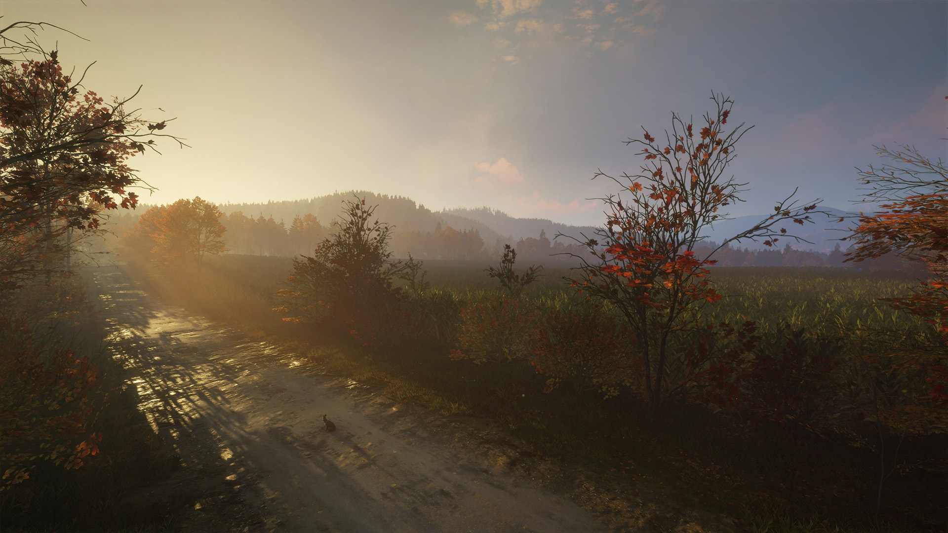paisagem