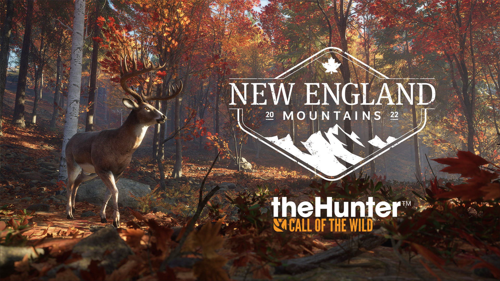 As montanhas da Nova Inglaterra reservam agora para theHunter: Call of the Wild
