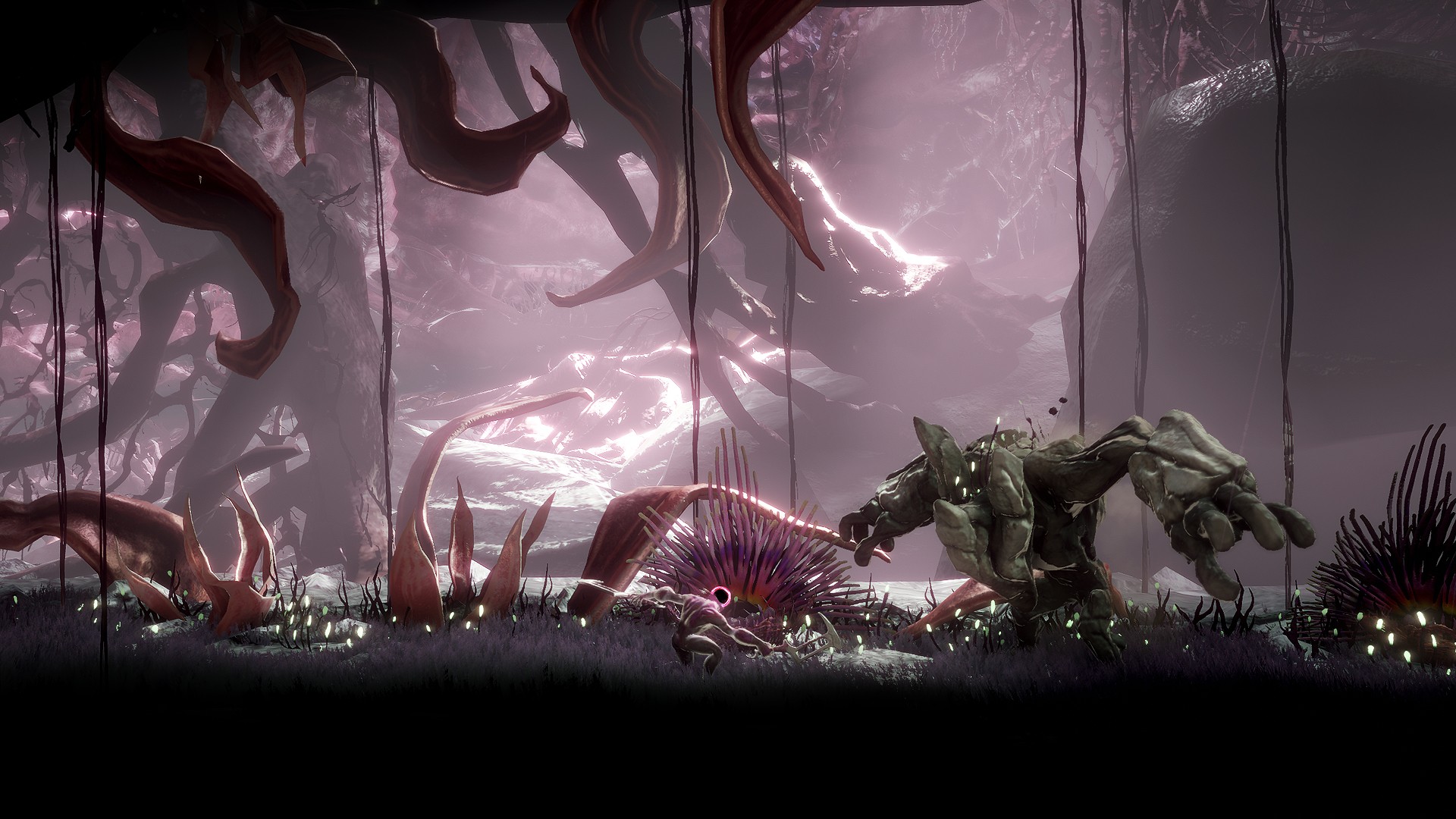 captura de tela