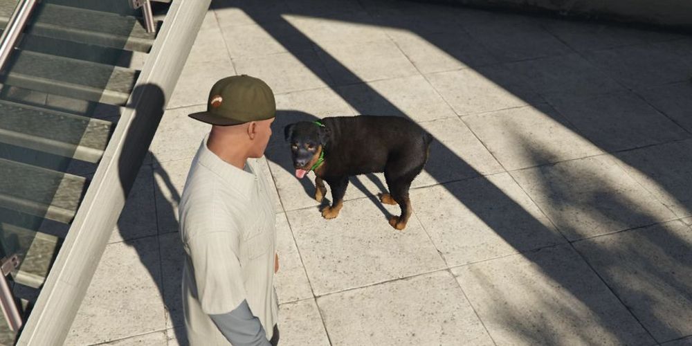 Franklin joga buscar com Chop em GTA V