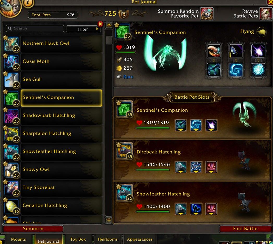 World of Warcraft Bakhushek contra a equipe de mascotes voadores