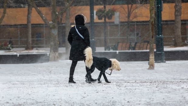 Polícia responde a dezenas de acidentes como cobertores de neve GTA, cidade declara alerta de frio extremo