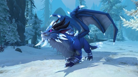 Il passe niveau max sans quitter le tutoriel de Wow, ça lui a pris des mois