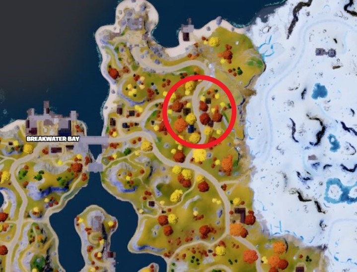 Woodsy Ward em Fortnite.