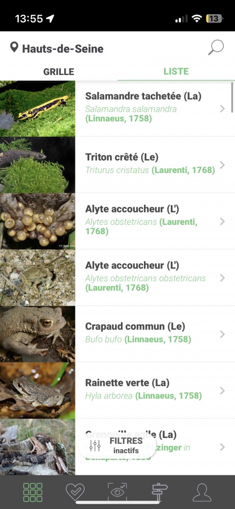 Este Pokémon GO com vrais animaux!