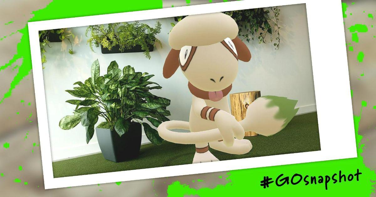 Pokémon GO Smeargle Foto