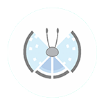 Tundra vivillon