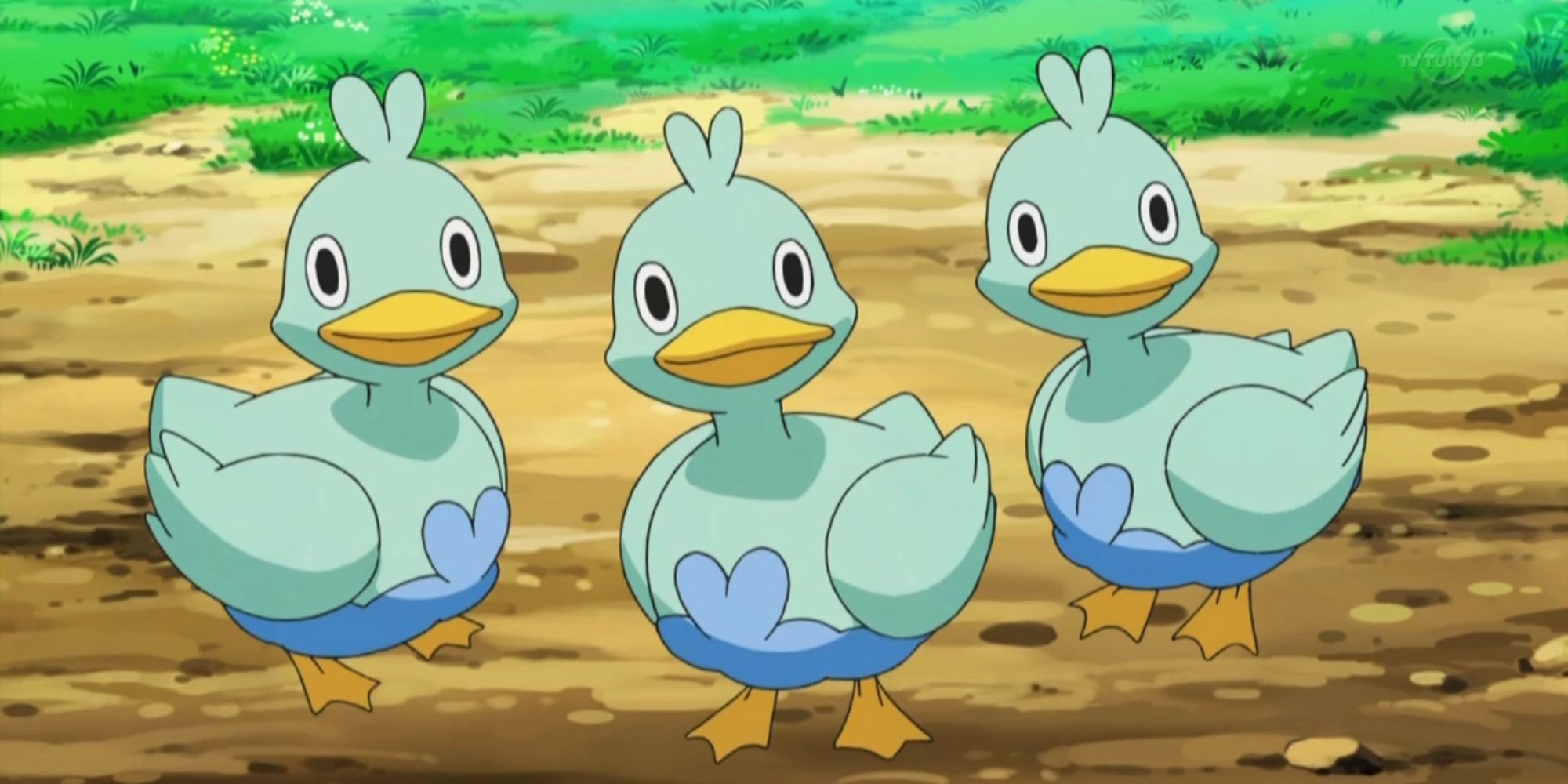 pokémon pato