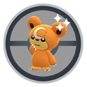 Teddiursa 3.png