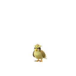 Poulet d'avril Pokémon GO: Roucool Chaos, caça brilhante, estudo especial... Nosso guia