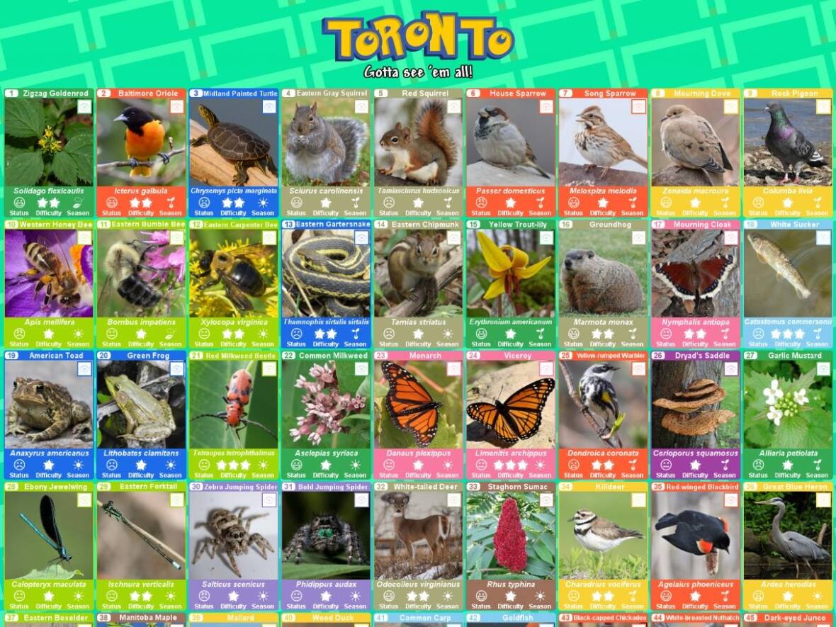 Mulher de Ontário cria jogo semelhante ao Pokémon GO para levar as pessoas ao ar livre