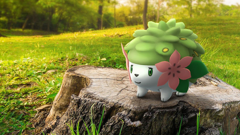 Plante et gratitude Pokémon GO: comente terminar o estudo especial para obter Shaymin?