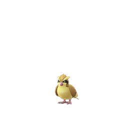 Poulet d'avril Pokémon GO: Roucool Chaos, caça brilhante, estudo especial... Nosso guia