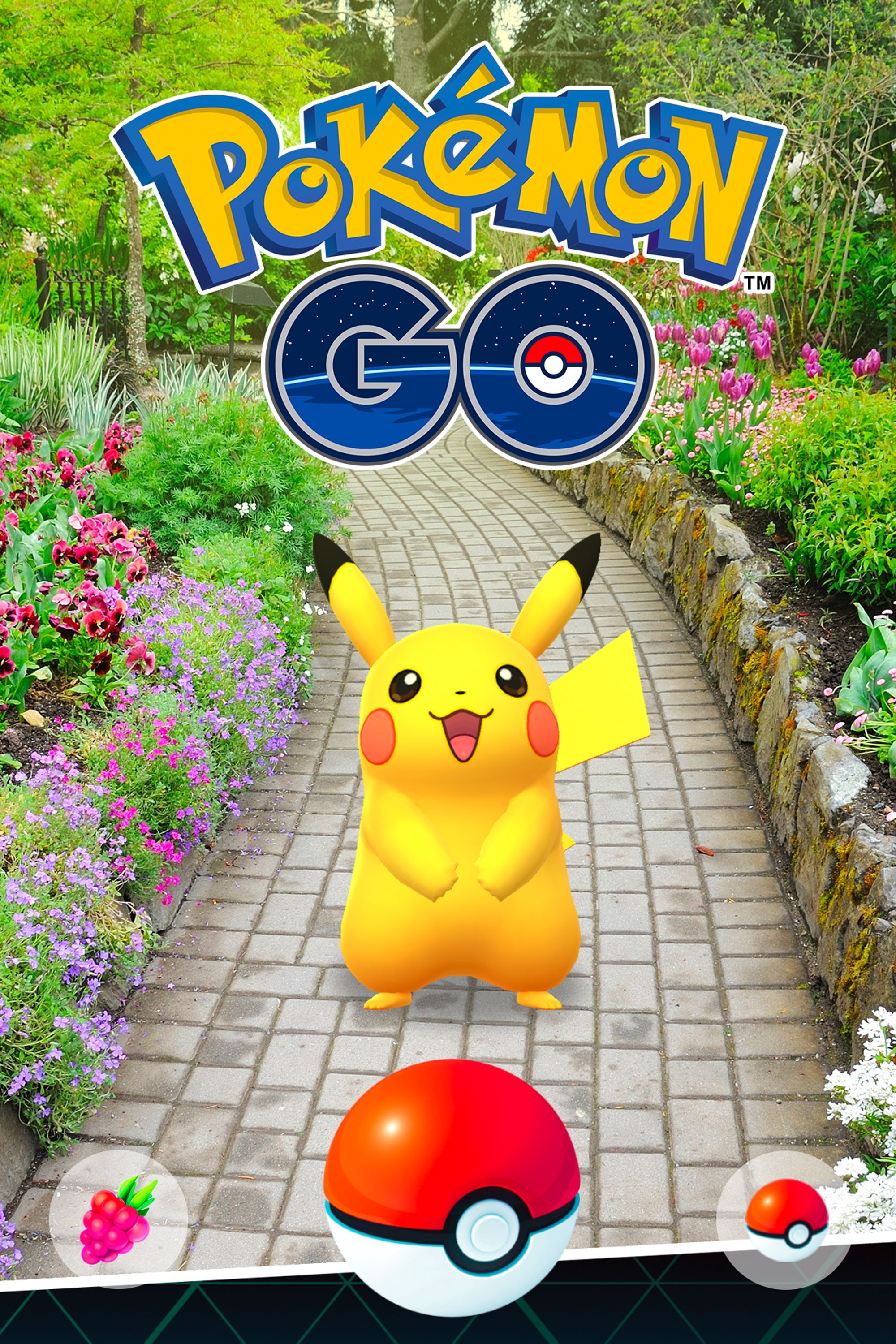 Pôster Pokémon Go