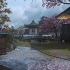 Call of Duty: Warzone 2.0 DMZ – How to Complete Look Out