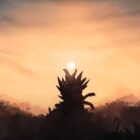 Nova personagem Naafiri em League of Legends: lançamento em 20 de julho de 2023 League of Legends revela oficialmente o novo campeão Naafiri