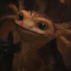 Os fãs se apaixonaram fortemente pelo companheiro de Star Wars Outlaws Axolotl-like Nix Os fãs se apaixonaram fortemente pelo companheiro de Star Wars Outlaws Axolotl-like Nix
