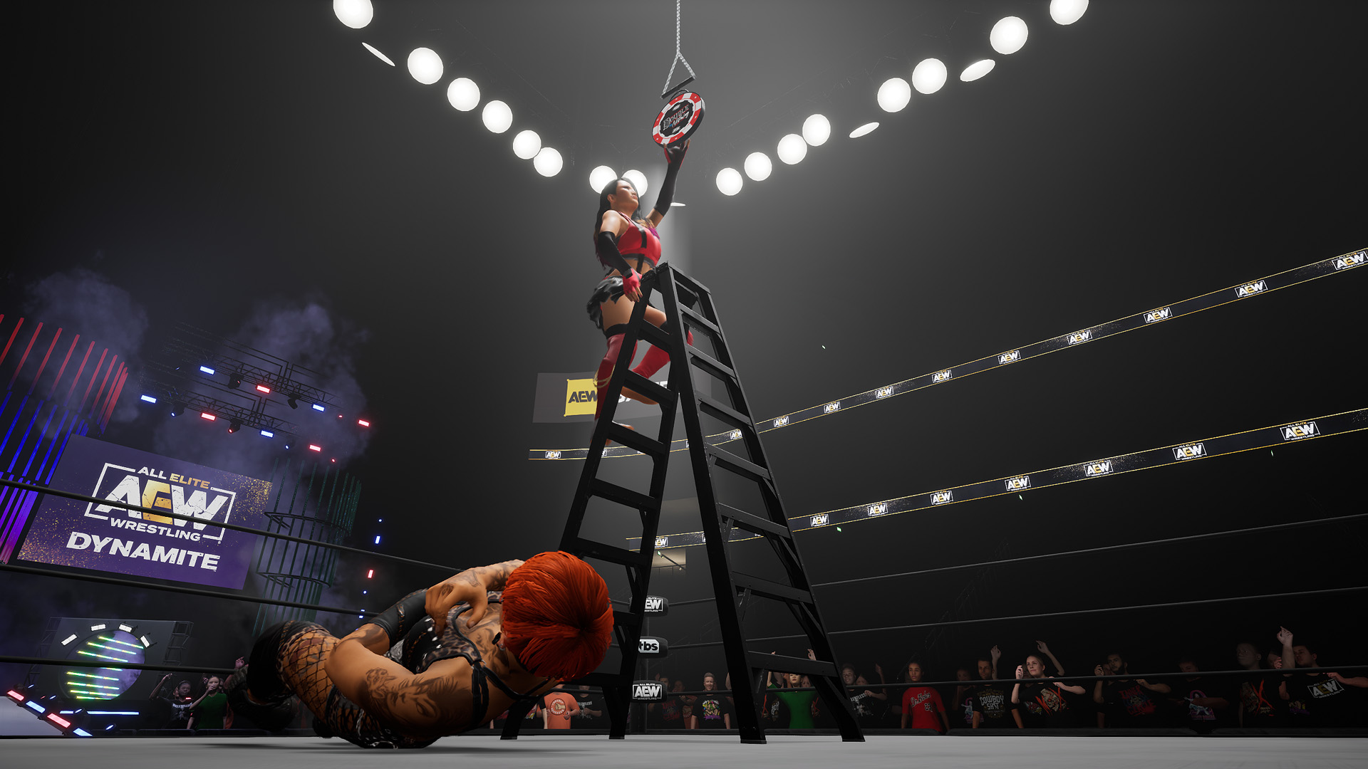 Quão alto é muito alto?  Partidas de escada em AEW: Fight Forever