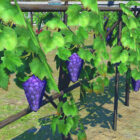 As uvas Low-Poly do FFXIV Endwalker foram imortalizadas em mercadorias físicas As uvas Low-Poly do FFXIV Endwalker foram imortalizadas em mercadorias físicas