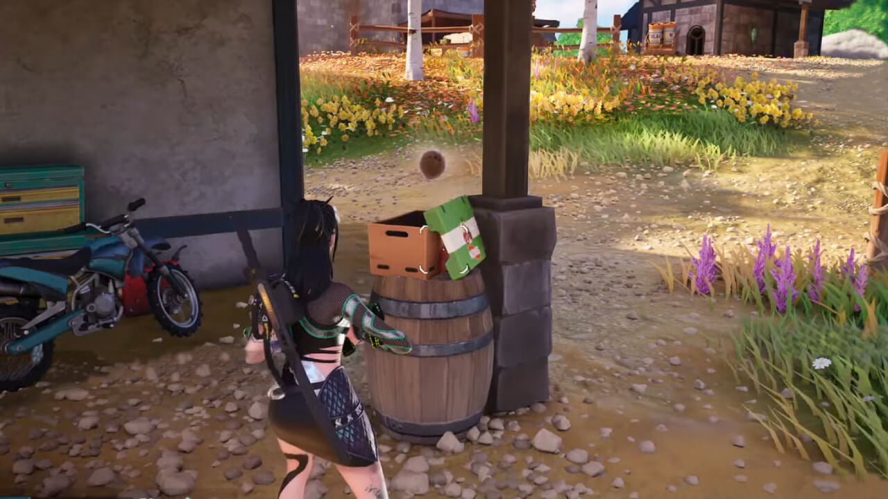 Where To Find Coconuts in Fortnite