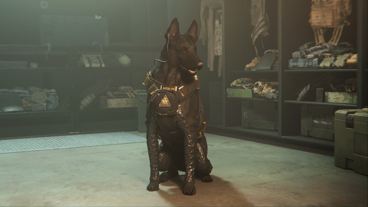 MW2 Warzone Tactical Pet