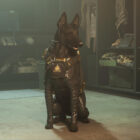 Companheiros caninos estão vindo para Warzone 2 e Modern Warfare 2, eu absolutamente tenho que jogar Call of Duty! Creo Gaming