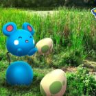 Evento especial Azurill em Pokémon GO em setembro de 2023 Creo Gaming