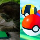 Gato se torna viral jogando Pokémon Go e pegando um Repefire Creo Gaming