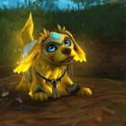 Animais de estimação do World of Warcraft arrecadam US$ 1,5 milhão para a BlueCheck Ucrânia. Creo Gaming