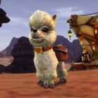 O novo Twitch do WoW gera polêmica com ex-animal de estimação de caridade Creo Gaming