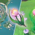 Onde estão todas as rosas do arco-íris em Genshin Impact? Creo Gaming