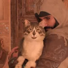 Um gato com o emblema do Assassino em Assassin's Creed Mirage: descubra sua comovente história! Creo Gaming