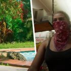 Jogadores de GTA 6 querem a opção de manter um crocodilo como animal de estimação Creo Gaming