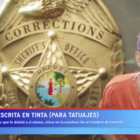 ‘Florida Joker desiste de perseguir a Rockstar para GTA 6, mas quer ser pago para dublar o personagem’ Creo Gaming