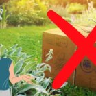 As 10 tarefas de pesquisa mais impossíveis em Pokémon GO Creo Gaming