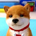 Redescubra o espírito dos Nintendogs com este jogo Switch por menos de US$ 3 Creo Gaming