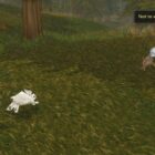Guia completo para mascote lutando em Wow Mists of Pandaria Creo Gaming