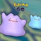 Pokemon GO Ditto and Shiny Ditto