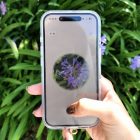 Aplicativo de reconhecimento de flores: transforme suas caminhadas em uma caça ao tesouro botânico. This flower identification app turns every walk into Pokémon Go for plants