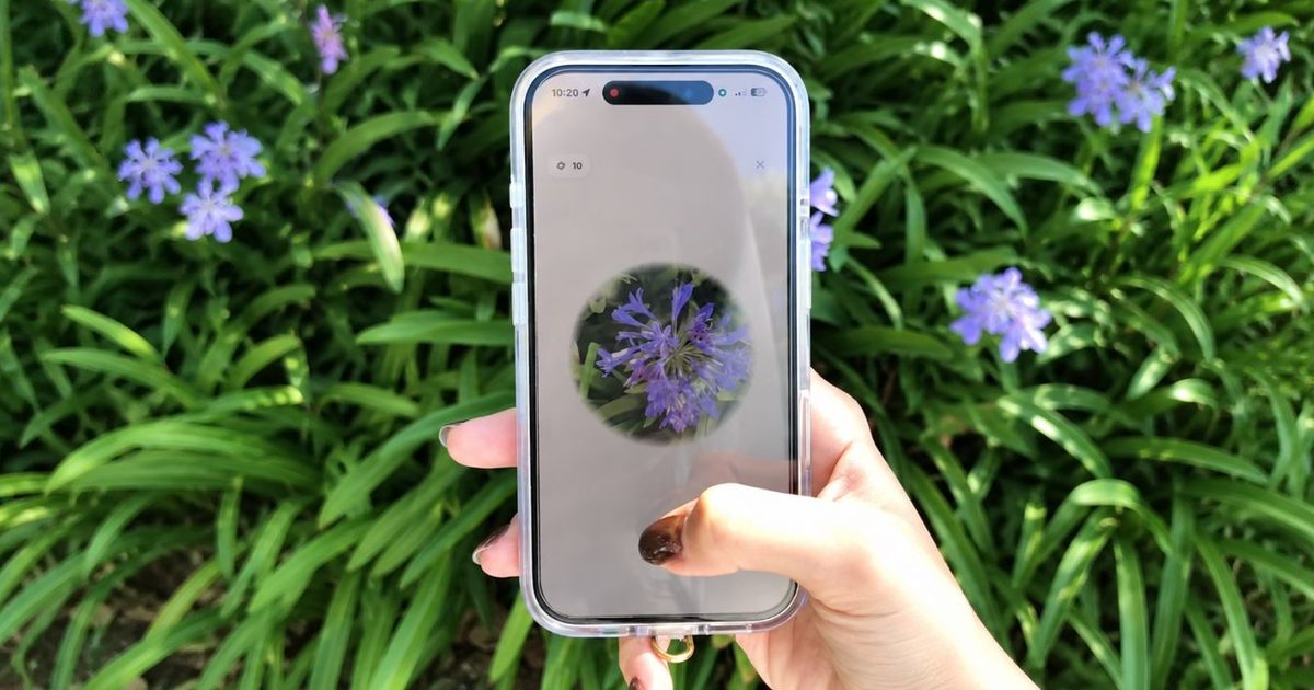 This flower identification app turns every walk into Pokémon Go for plants